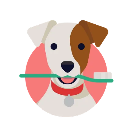 Gros plan du chien Jack Russell tenant la brosse à dents dans la bouche  Illustration