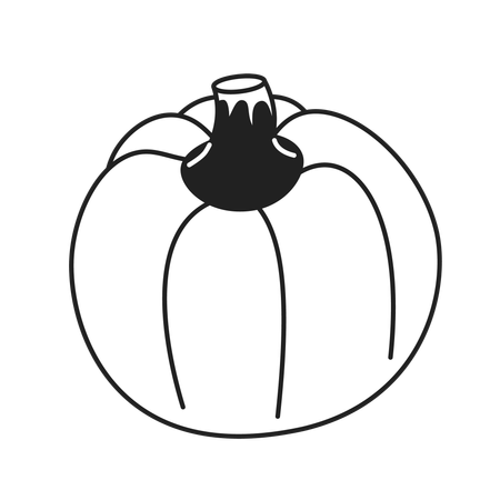 Growing ripening pumpkin  Illustration