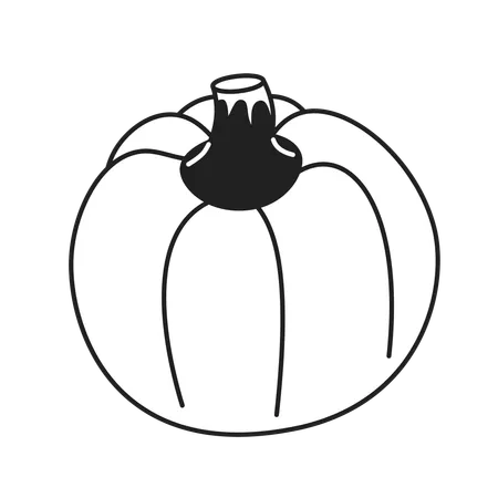 Growing Ripening Pumpkin Black And White 2 D Cartoon Object Autumn Harvest Vegetable Isolated Vector Outline Item Thanksgiving Fall Season October Autumnal Monochromatic Flat Spot Illustration Illustration