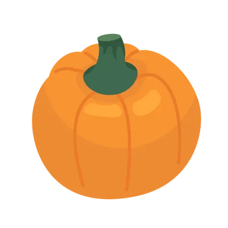 Growing ripening pumpkin  Illustration