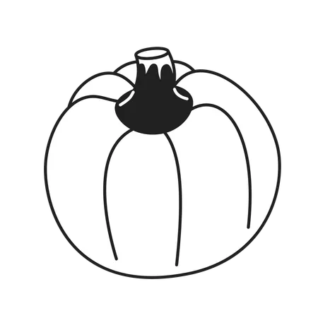 Growing ripening pumpkin  Illustration