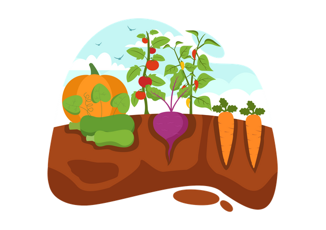 Growing Vegetables Illustration  일러스트레이션