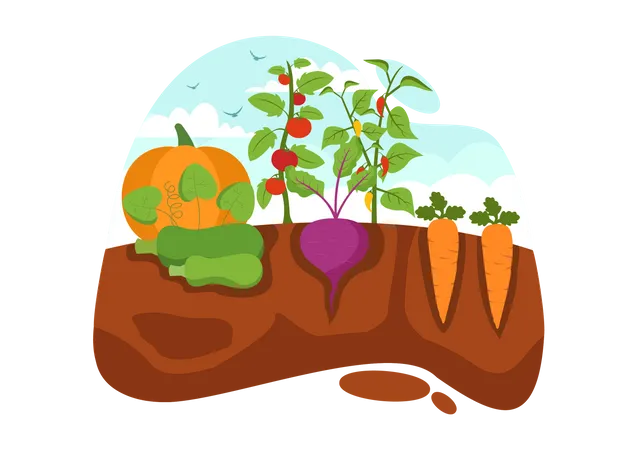 Growing Vegetables Illustration  Illustration