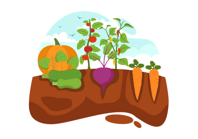 Growing Vegetables Illustration  Illustration