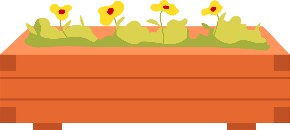 Growing yellow flowers from seeds Illustration