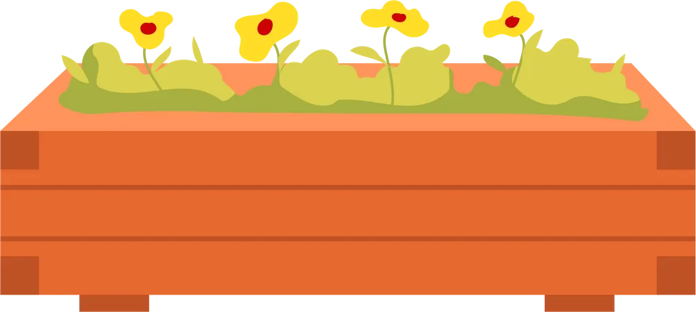 Growing yellow flowers from seeds Illustration