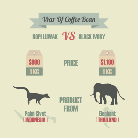 Guerra dei chicchi di caffè, Kopi Luwak VS Black Ivory, il caffè più costoso del mondo  Illustration