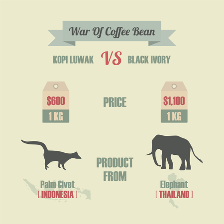 War Of Coffee Bean, Kopi Luwak VS Black Ivory, el café más caro del mundo  Ilustración