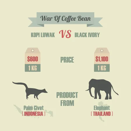 War Of Coffee Bean, Kopi Luwak VS Black Ivory, el café más caro del mundo  Ilustración