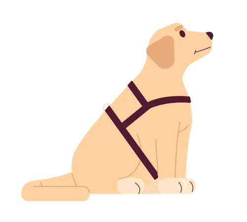 Guide Dog Labrador 2 D Cartoon Character Support Dog Isolated Vector Animal White Background Pet Golden Retriever Sitting Puppy Cute Domestic Animal Assisted Therapy Color Flat Spot Illustration イラスト