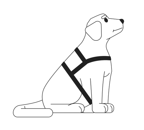 Guide dog labrador  Illustration