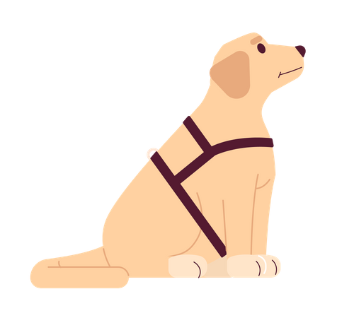 Guide dog labrador  Illustration