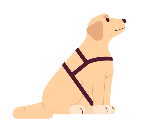 Guide dog labrador  Illustration