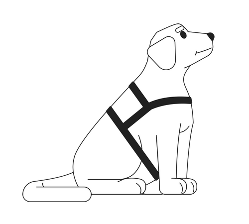 Guide dog labrador  일러스트레이션