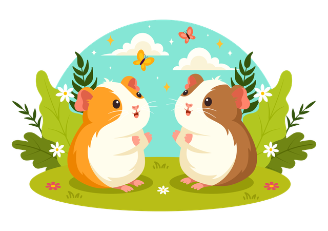 Guinea Pig  Illustration