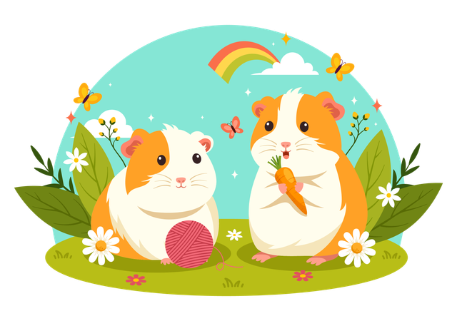 Guinea Pig  Illustration