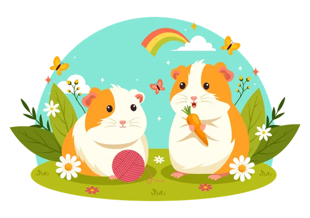 Guinea Pig  Illustration