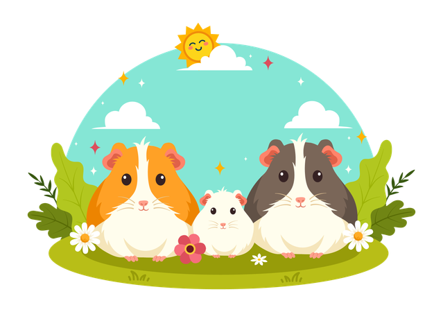 Guinea Pig  Illustration