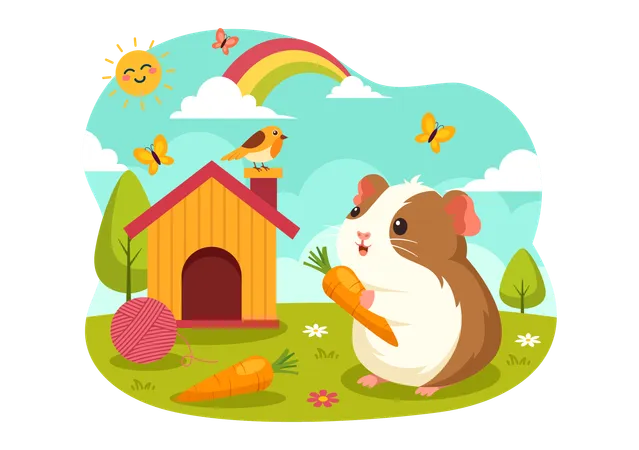 Guinea Pig  Illustration