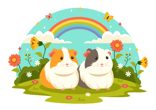 Guinea Pig  Illustration