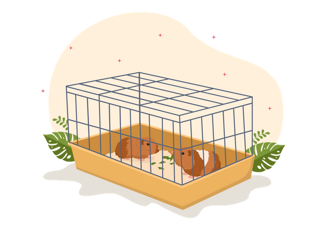 Guinea pig insite cage  Illustration