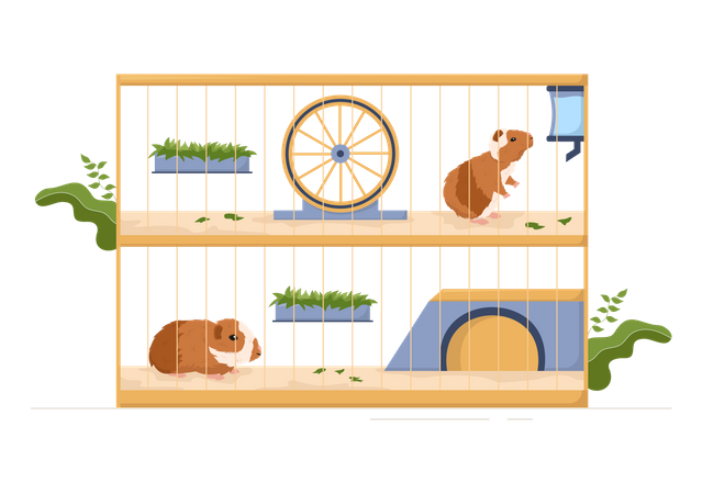 Guinea pig pets inside cage  일러스트레이션