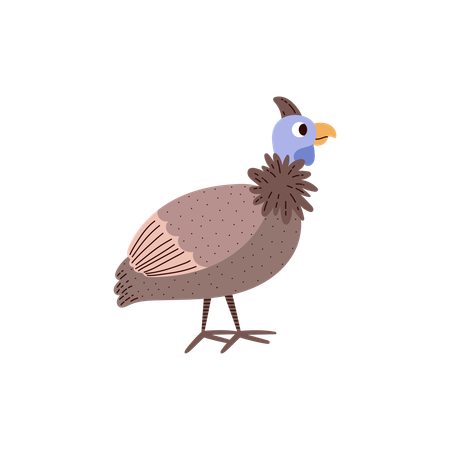 Guineafowl bird  Illustration