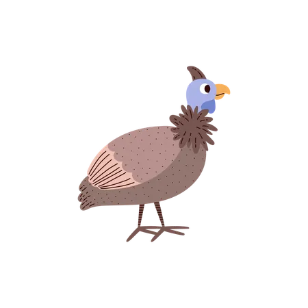 Guineafowl bird  Illustration