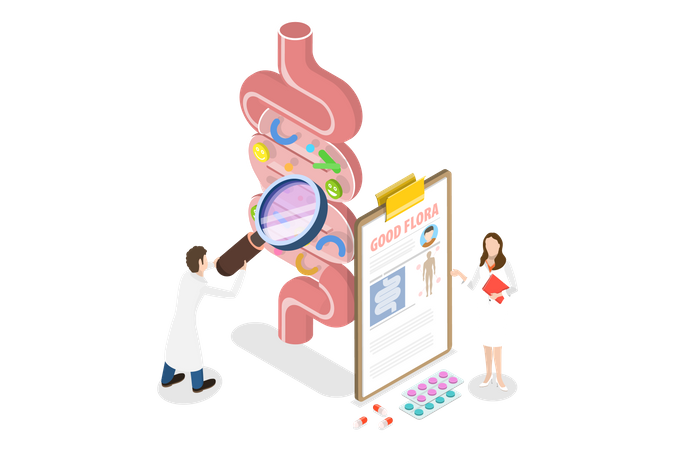 Gut Health  Illustration