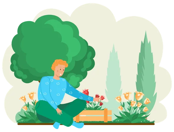 Guy gardening plants on backyard  Illustration