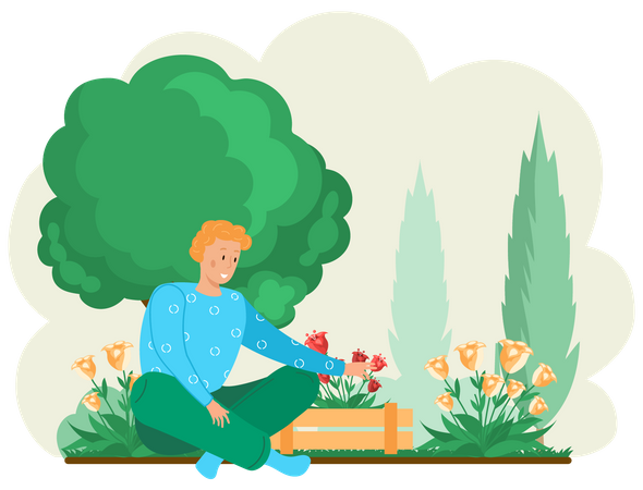 Guy plantas de jardinería en el patio trasero  Ilustración