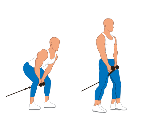 Gym man doing gym exercise  Illustration