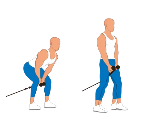 Gym man doing gym exercise  Illustration