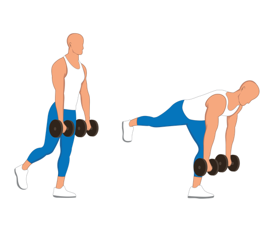 Gym man doing gym exercise using dumbbells  Illustration