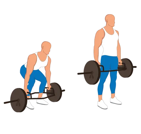 Gym man doing weightlifting  Illustration