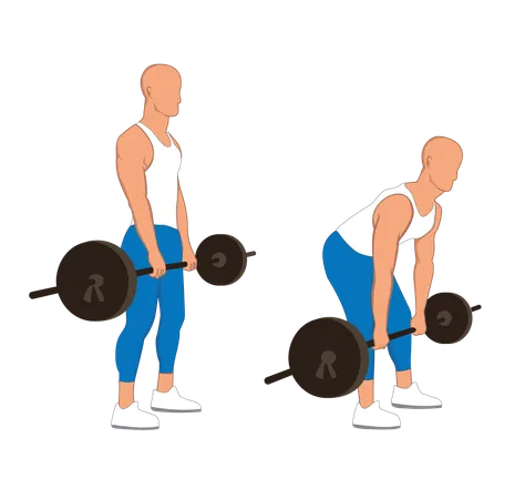 Gym man doing weightlifting  Illustration