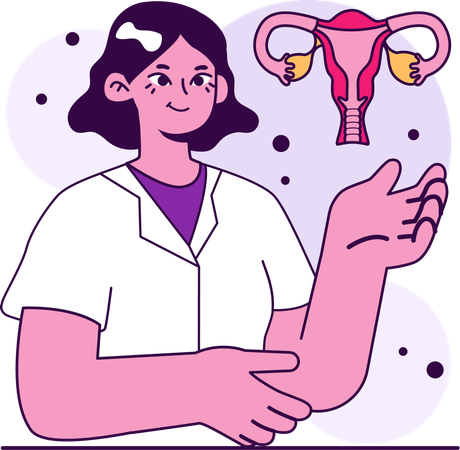 Gynaecologist study uterus  Illustration