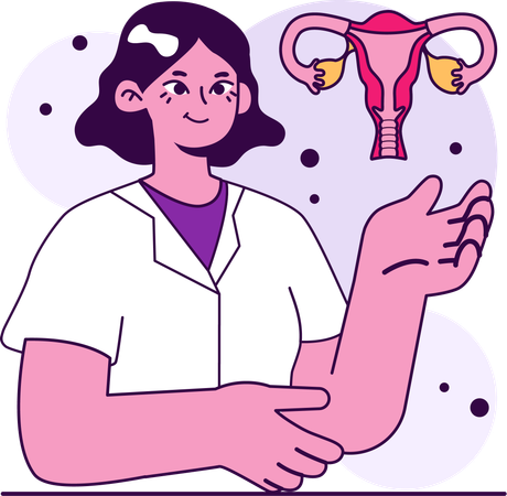 Gynaecologist study uterus  イラスト
