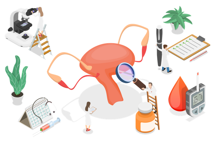 Gynécologie  Illustration