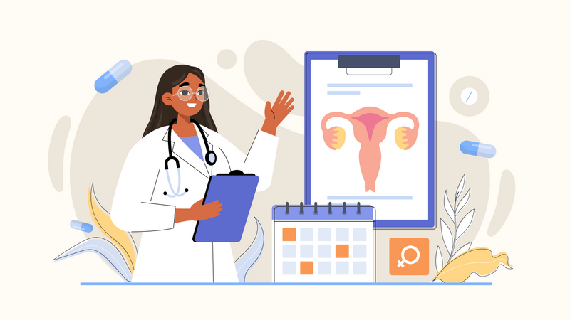 Gynecologist  Illustration