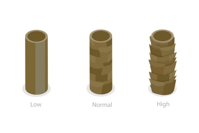 Hair Porosity and Anatomical Structure Scheme  Illustration