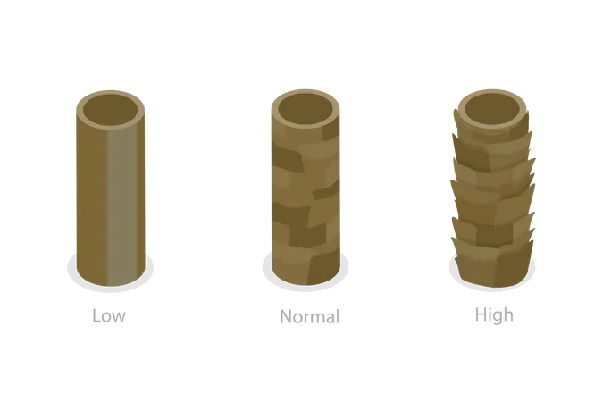 Hair Porosity and Anatomical Structure Scheme  Illustration