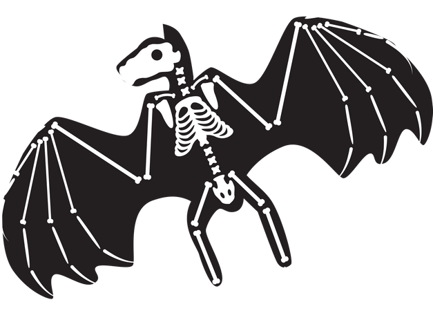 Squelette de chauve-souris effrayant d'Halloween  Illustration