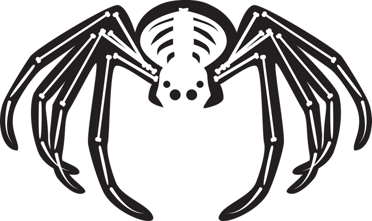 Esqueleto de araña aterrador de Halloween  Ilustración