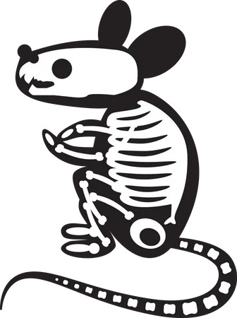 Gruseliges Rattenskelett für Halloween  Illustration