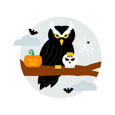 Halloween owl  Illustration