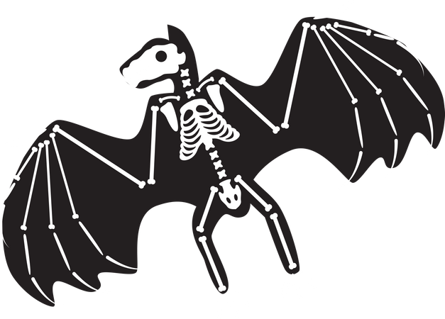 Halloween Scary Bat Skeleton  Illustration