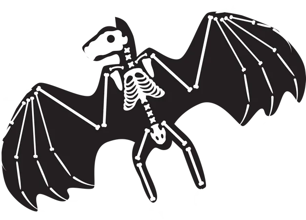 Halloween Scary Bat Skeleton  Illustration