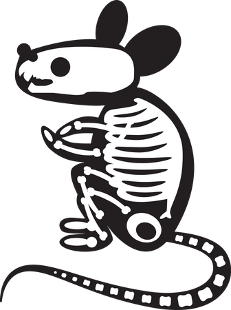 Halloween Scary Rat Skeleton  Illustration