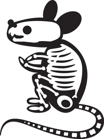 Halloween Scary Rat Skeleton  Illustration